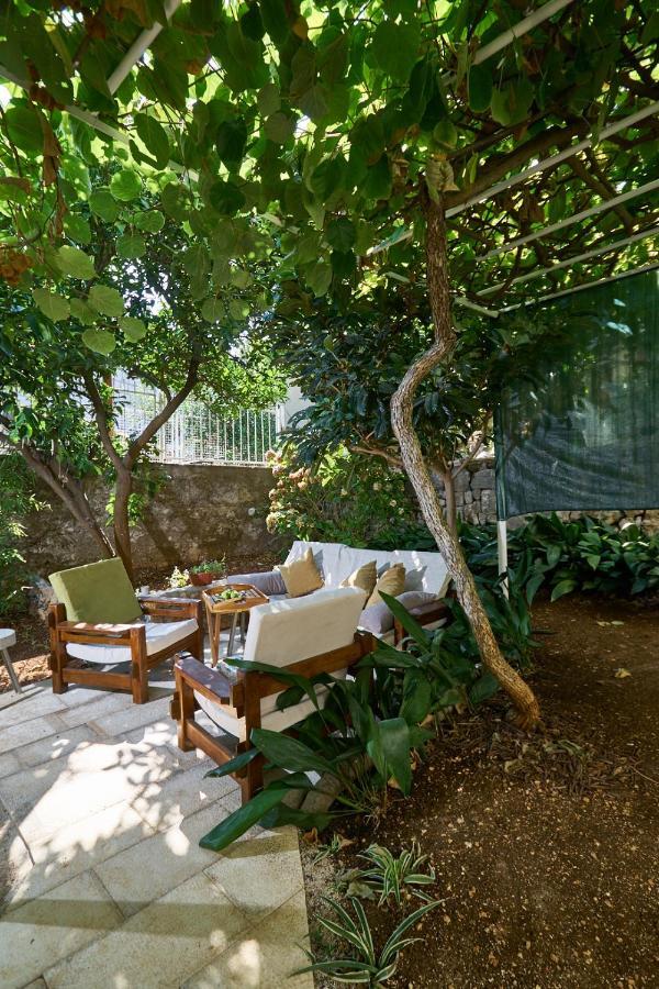 Aspidistra Shadow Daire Dubrovnik Dış mekan fotoğraf