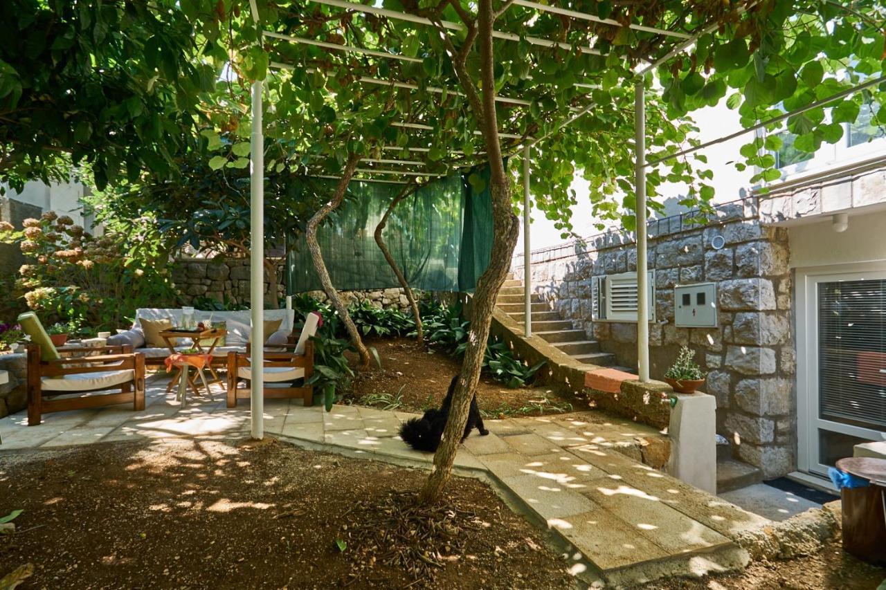 Aspidistra Shadow Daire Dubrovnik Dış mekan fotoğraf