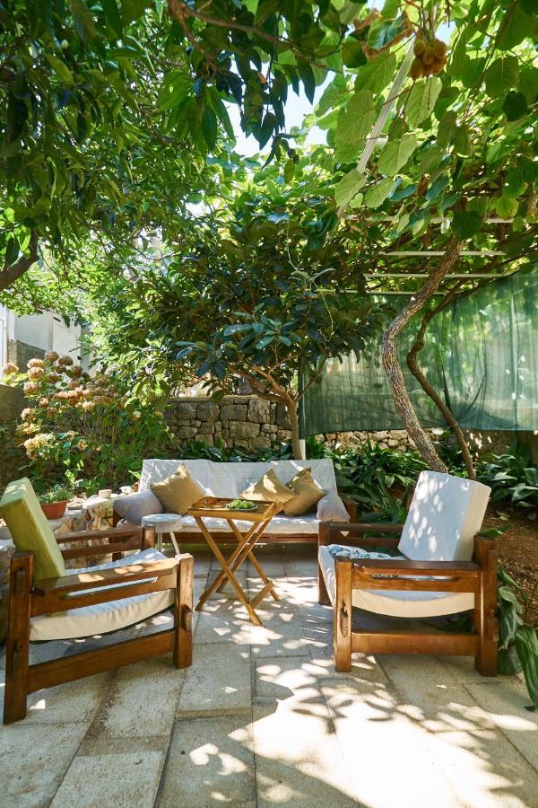 Aspidistra Shadow Daire Dubrovnik Dış mekan fotoğraf