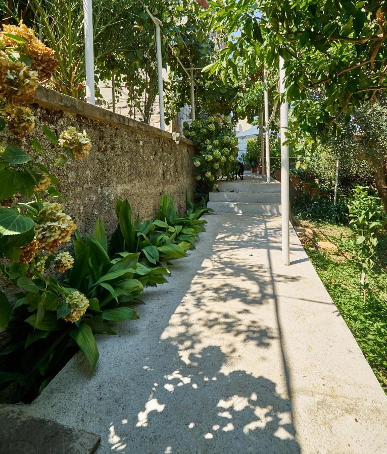 Aspidistra Shadow Daire Dubrovnik Dış mekan fotoğraf