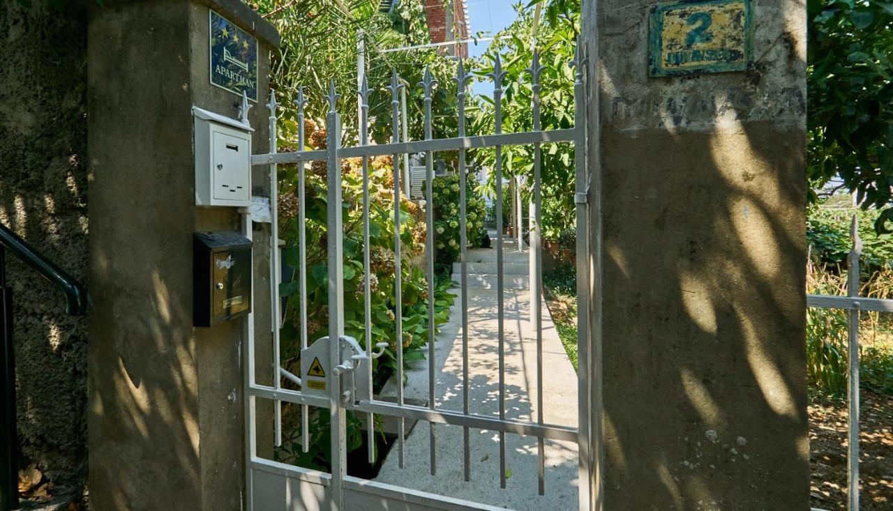 Aspidistra Shadow Daire Dubrovnik Dış mekan fotoğraf